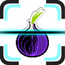 Onion Scanner