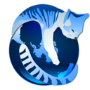 Gnu Icecat Desktop